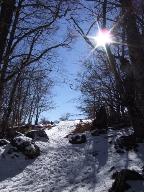 da Barrea a lago Vivo (P.N.A.)